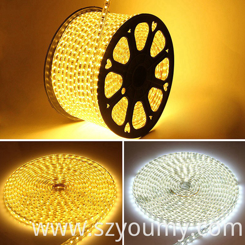 Warm White And White Led Strip